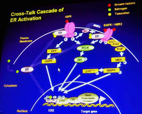 History of Medicine