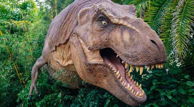 Tyrannosaurus Spread Worldwide Early in Age of Dinosaurs