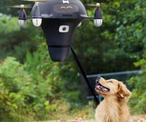 Man Loses His Drone After Annoying Neighbor’s Dog