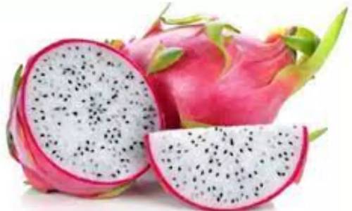 dragon fruit