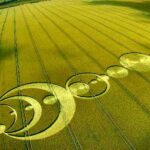 All about crop circles