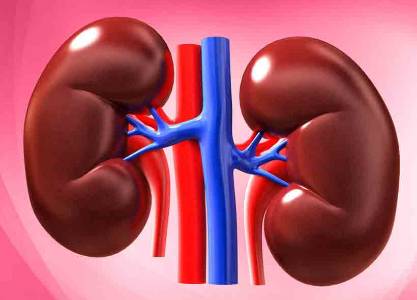 Kidney Disease