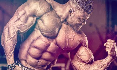 Steroids for Gaining Mass Fast