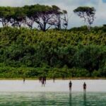 The North Sentinel Island