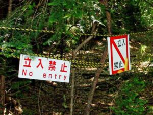 Suicide Forest of Mount Fuji