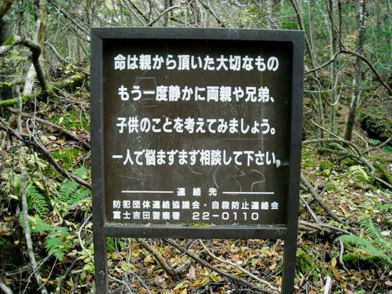 Suicide Forest of Mount Fuji