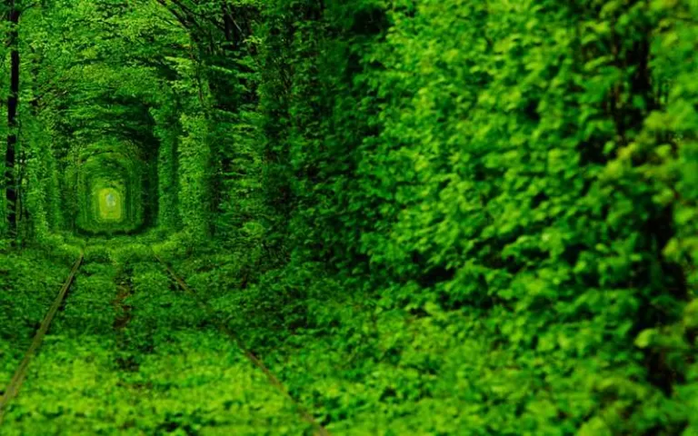 The tunnel of love in Kleven