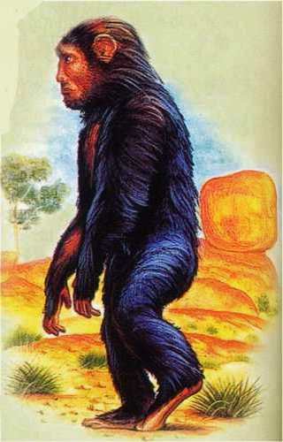 yowie