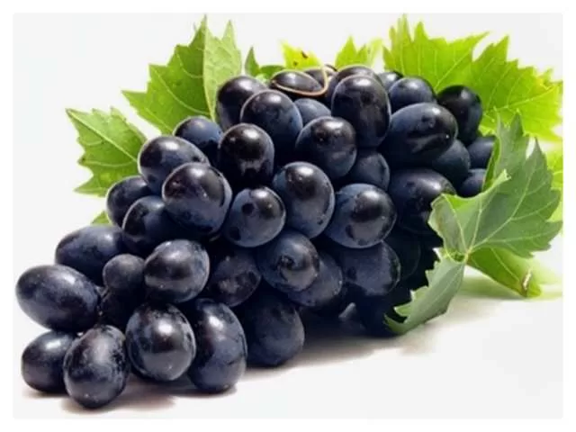 Black Grapes