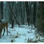 Eastern U.S. Braces for Warmer Weather