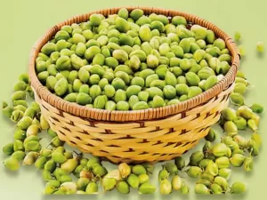 Green Chickpeas