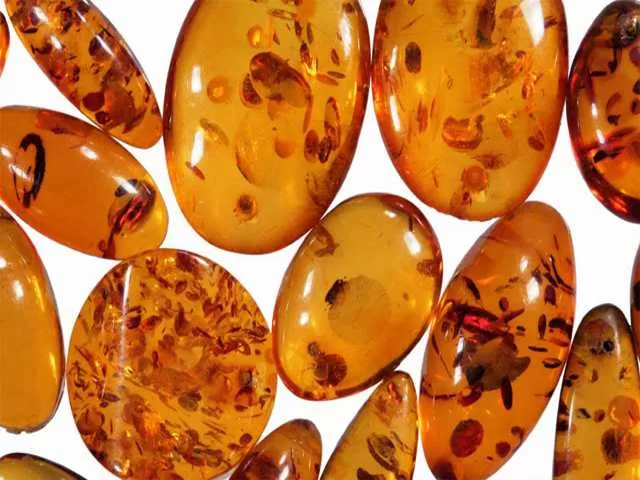 Dominican Amber