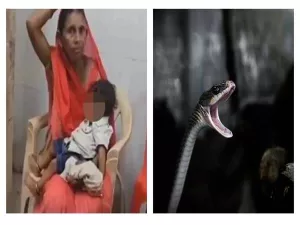 Brave Mom Saves Son from Snake Surprise!