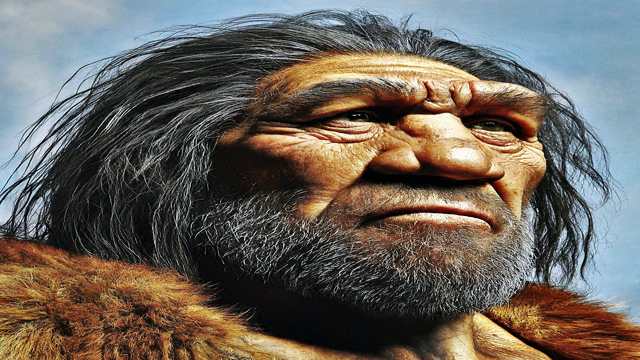 Humans and Neanderthals