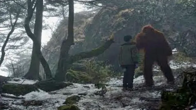 Did Bigfoot Save a Man from a Bear